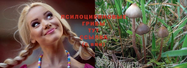 меф VHQ Бородино