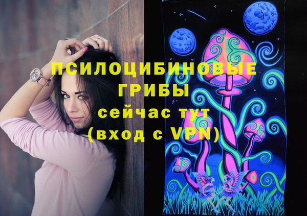 спиды Бронницы