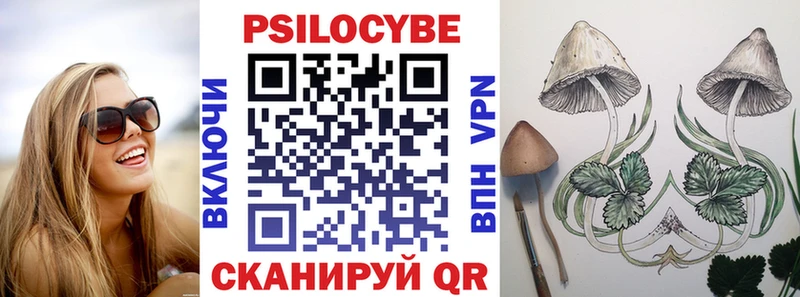 Галлюциногенные грибы Cubensis  даркнет сайт  Вельск 